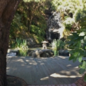 Wellington Botanic Gardens
